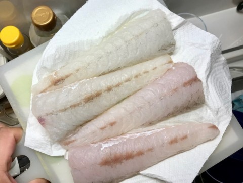c87jfyem6ch2fyujm8sx_480_480-c983bd58.jpg