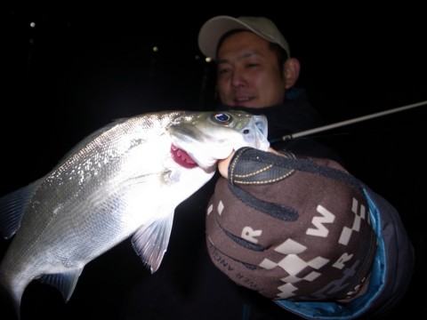 c8m34c2w44768chiyxpy_480_480-c4631117.jpg