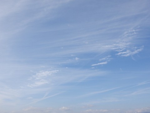 c8nwu9coy7pdpsujdm7i_480_480-6fd4335a.jpg