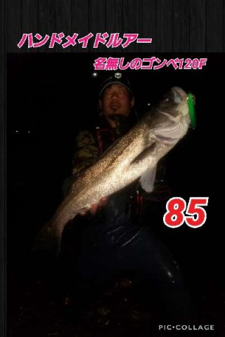 c8srty7bu3mb399ag46j_480_480-99a91c1a.jpg