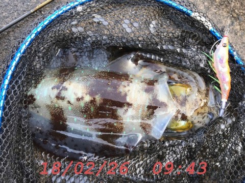 c8zm2s8m377stw25dmrv_480_360-63066533.jpg