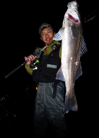 c953pv3xrubuvdo69wtn_480_480-04389c2b.jpg