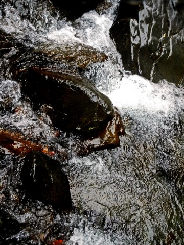 c99z2j9phvzaunuvjn5d_480_480-69be6e2b.jpg