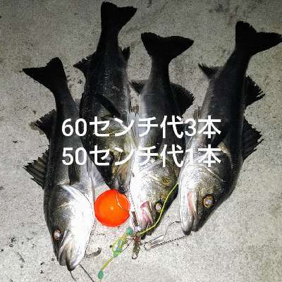 c9pxesi8zkx8t9ag82b9-5b923f8b.jpg