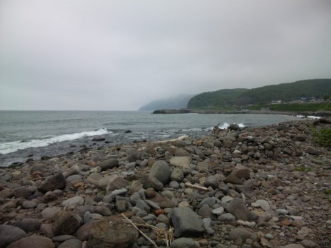 c9vukonmrwi2rgxh3fir_480_480-847732cb.jpg