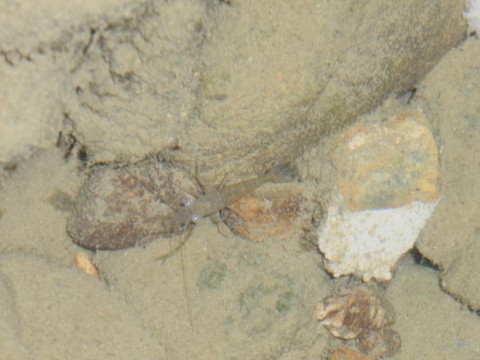 cHXeaWGwbDG9fhrVWG7J_480_480-905f3f54.jpg