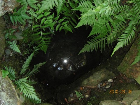 cPaiWQQuQoiUKLdZ7NUE_480_480-ca6539c9.jpg