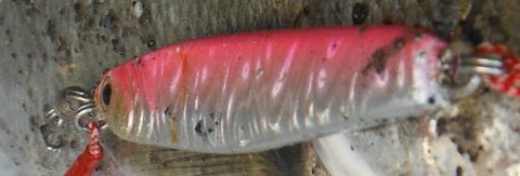 ca78b6fzpvb2nx2vonn8_480_480-0f4576d7.jpg