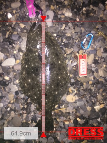 ca8i8fnoagxaff7nckbm_690_920-6a0c284a.jpg