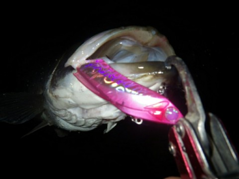 ca9v987t4ekbjmdyeyap_920_690-967bdc4b.jpg