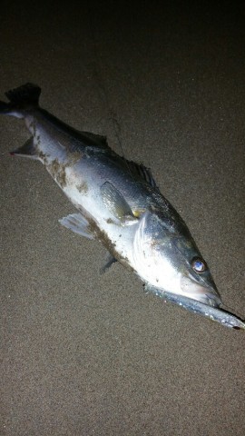 cado2et6in48d36r9ubf_518_920-4d00f97a.jpg