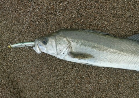 cakh8wyda63m42rh8s7w_920_645-54322a92.jpg