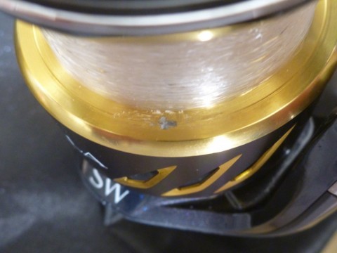 cb55bnmkhv72jdodgkvb_480_480-512918be.jpg