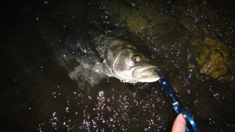 cbg2tuxyt2nxmxkjvui6_480_480-566a57dc.jpg