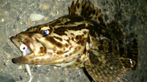cbzafsugi8nurv9hdc9z_920_517-741f46cb.jpg