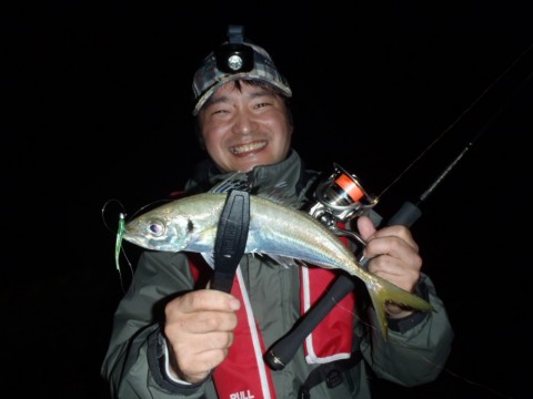 cc3ps63wjxu6yfx78gr5_480_480-f313a923.jpg