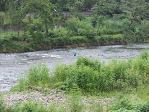 cc6fm5kk82nmsogutopp_480_480-9b00693f.jpg
