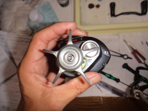 ccbp6udnbb5ygwbxyrjp_480_480-d7176130.jpg