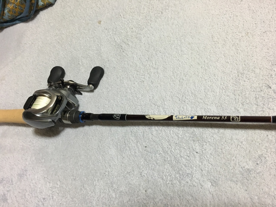 ブログ】 モレーナ53 入魂？