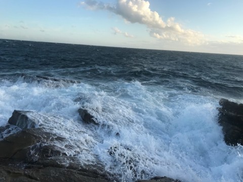 ccopfydm3vvhvjmuuaav_480_480-deb6f284.jpg
