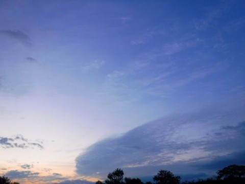 ccxhcrdx4sshztt4yvma_480_480-083baffa.jpg