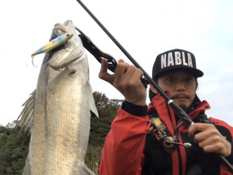 cd49txou5imkfishr9mu_480_361-cbc4b034.jpg