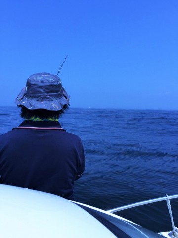 cd88akjc4hin2ex3gx99_480_480-f8276a62.jpg