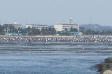cdkpobzs9w5yfchnpv5i-fd706186.jpg
