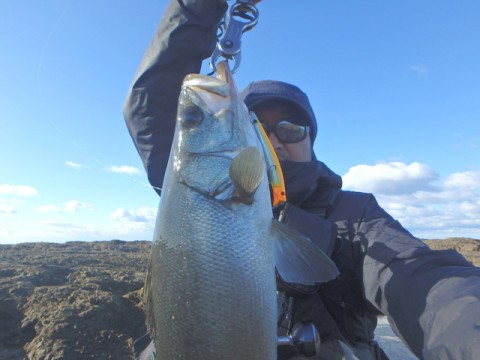 cdngzmzpnewhzp4mnhdf_480_480-165e4d04.jpg