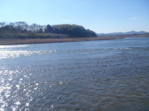 ce2fgdy5nmyoomuiemh5_480_480-987fb984.jpg