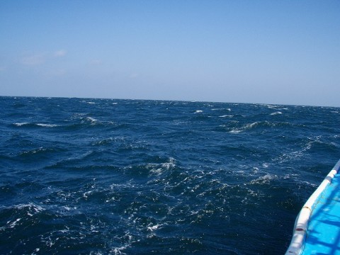 ce3ovn4ycob7vzmzbkoi_480_480-6768e643.jpg