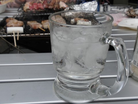ce5f8g798mj3huhyb9tb_480_480-433f8c39.jpg