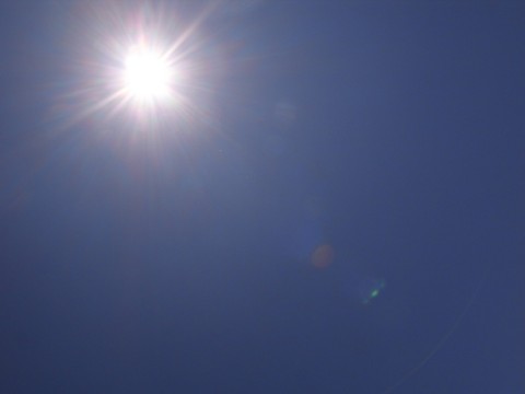 cehv3gjdgxodhvmb6zp5_480_480-1830b4f3.jpg
