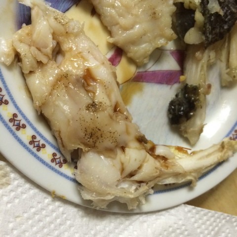 cehwnfxp732mdhpi4hnt_480_480-ec3285fb.jpg