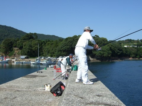 cemg9s6ja3nf2at62nmv_480_480-c53f6bf4.jpg