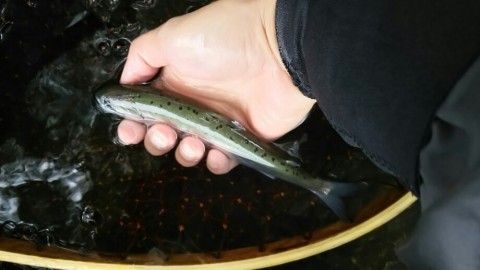 cesmjaw85oonwuhbwdt9_920_518-8de70319.jpg