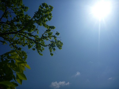 cexbwcahv542hy3hhtb3-a3bc95da.jpg