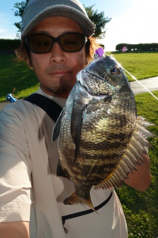 CHINU CUBE 新色グレープ S