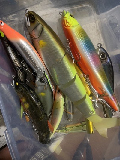 Tokushima fishing story】 ビッグ・ジャイアントゲームに入門