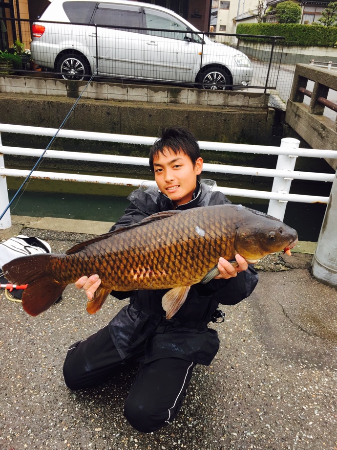 繋がり 鯉釣り