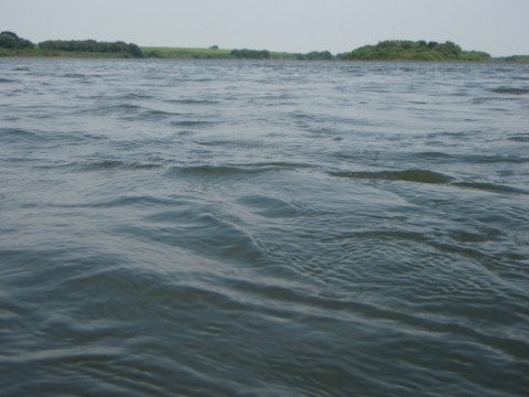 cghxudc9xbew64px28f3_480_480-4dfb2743.jpg