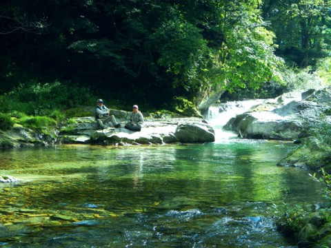 cgjfibpfvwsaus2833zb_480_480-5bcc6d6c.jpg