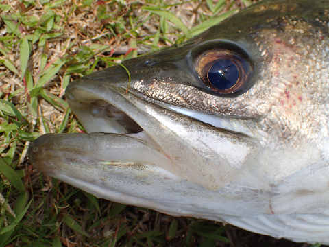 cgn8bex4c4ehhvjgx7it-d072857c.jpg