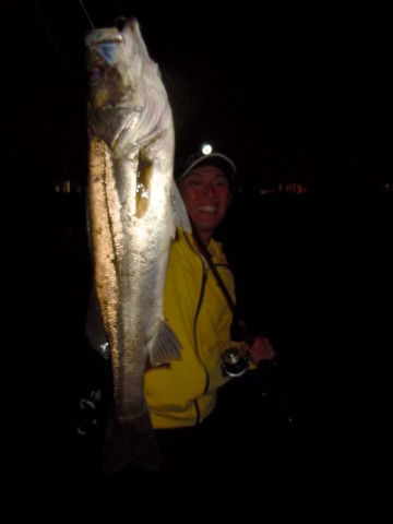 ch37685beere56o9s6nw_480_480-1a4b89e6.jpg