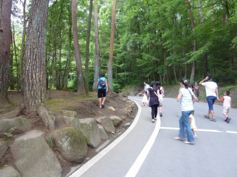 ch3aomvywzcfpe5jdsrd_480_480-fa0714aa.jpg