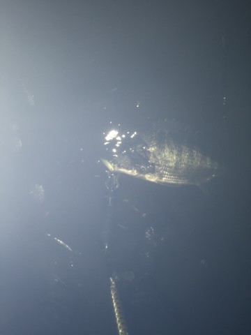ch4aafrmyjc6j3cmptvw_690_920-259ea872.jpg