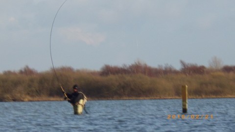 chc73op4hdai3v5ahrz5_480_480-48ada066.jpg
