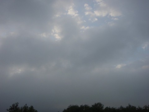 ci2ypyahoauttwr6rwyx_480_480-185f0520.jpg