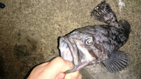 ci8htmurgm8gvcfccfxb_920_518-e9382a77.jpg