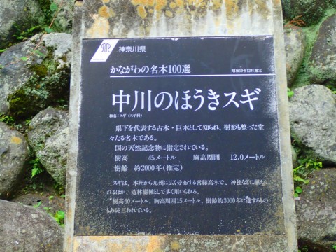 cio3ixey28vsaavfn4kz_480_480-6a35311d.jpg